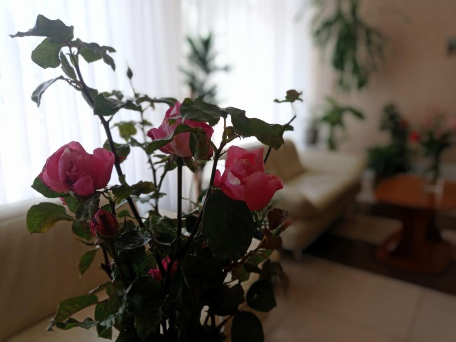 Volyn Hotel Ludmir Volodymyr-Volynskyi Luaran gambar